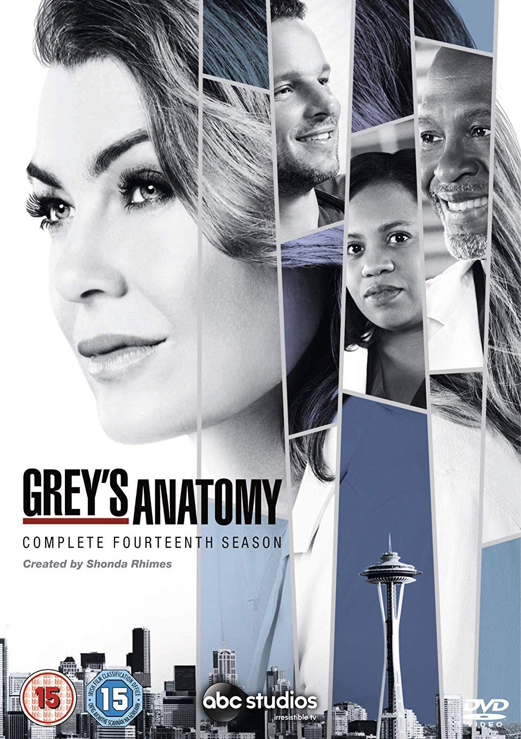 Greys Anatomy / Säsong 14 / DVD / Ny och Inplastad