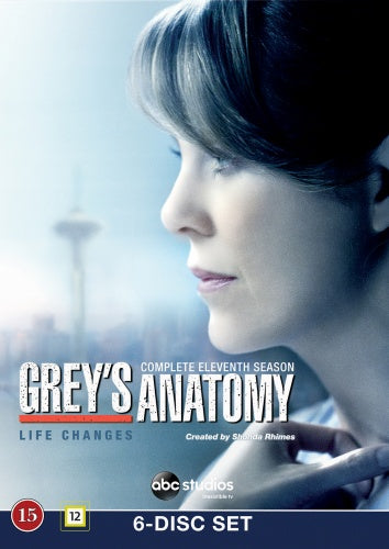 Greys Anatomy / Säsong 11 / DVD / Ny och Inplastad